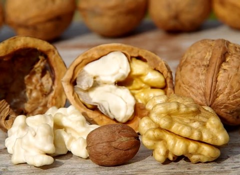 قیمت خرید مغز گردو سفید + فروش ویژه